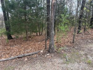 Property photo for land for sale in Taney County Missouri