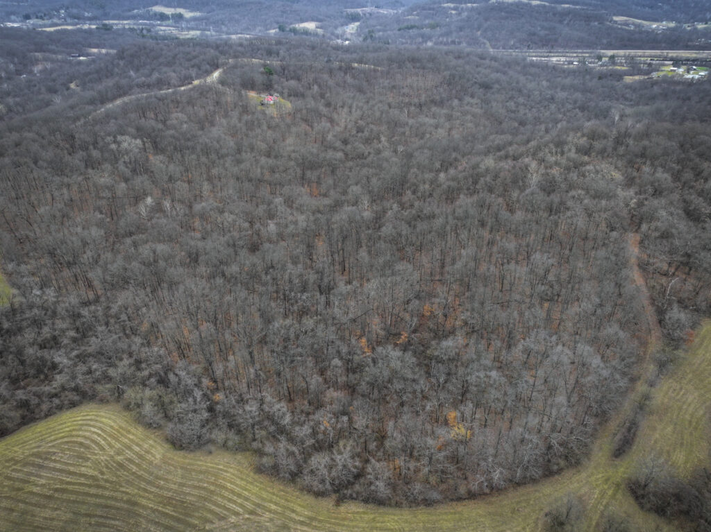 Property photo for land for sale in Noble County Ohio