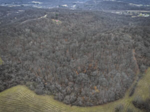 Property photo for land for sale in Noble County Ohio