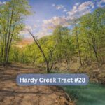 Property photo for land for sale in Pushmataha County Oklahoma