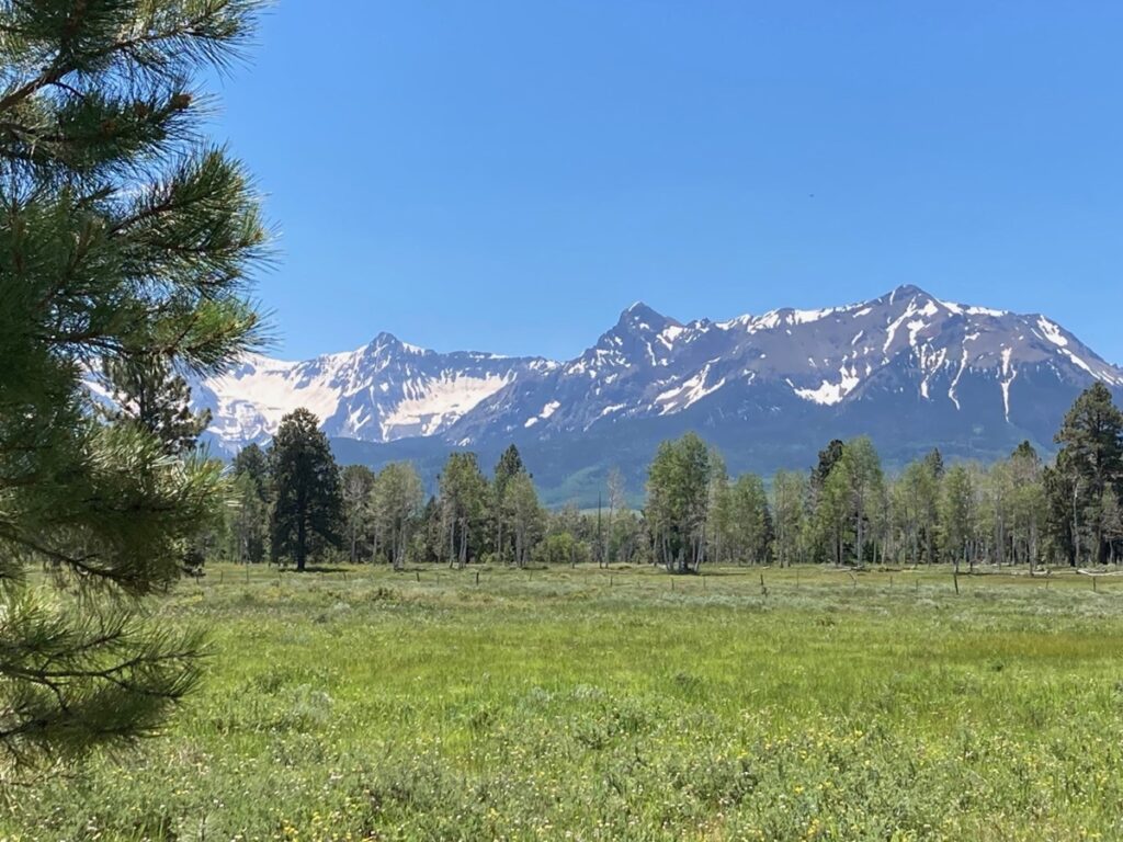 Property photo for land for sale in Ouray County Colorado