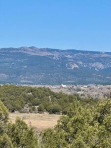 Property photo for land for sale in Rio Arriba County New Mexico