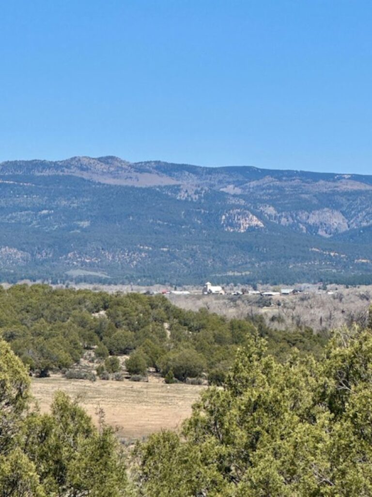 Property photo for land for sale in Rio Arriba County New Mexico