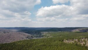 Property photo for land for sale in Sequatchie County Tennessee