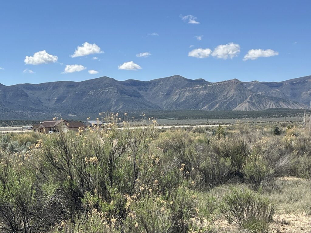 Property photo for land for sale in Montezuma County Colorado