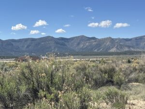Property photo for land for sale in Montezuma County Colorado