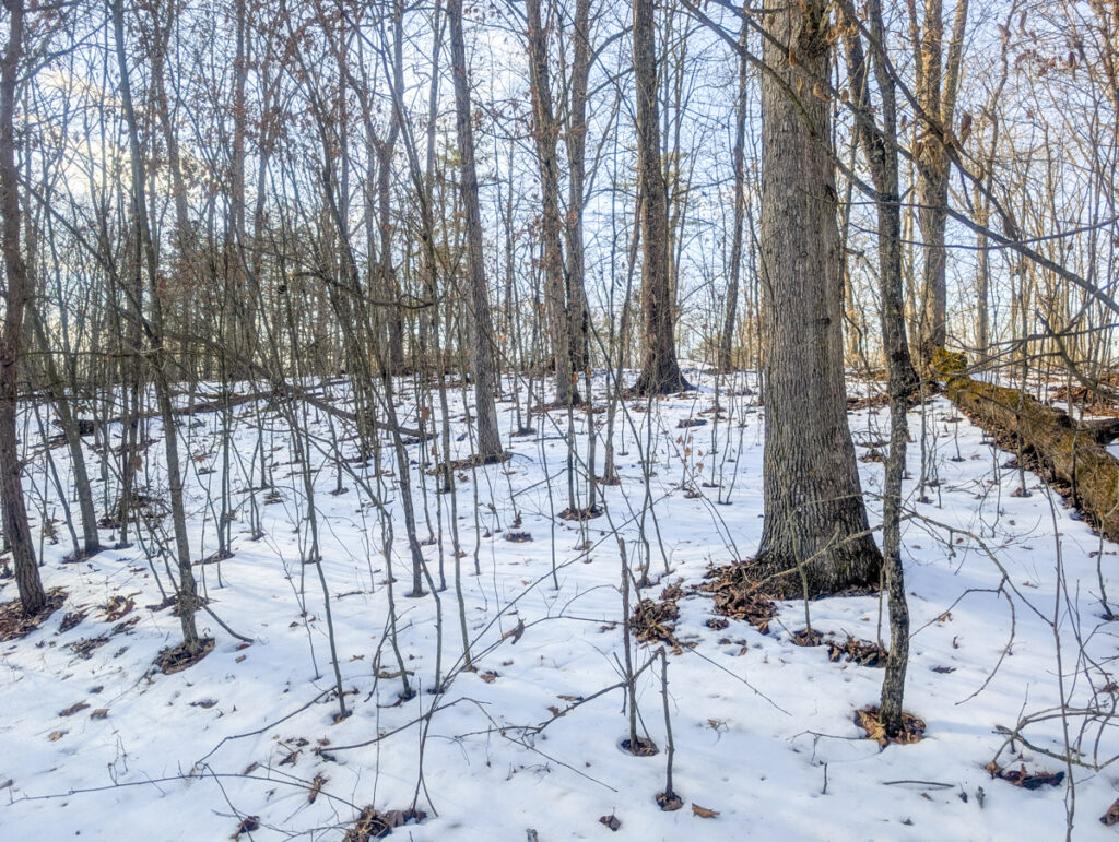 Property photo for land for sale in Washington County Ohio