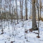 Property photo for land for sale in Washington County Ohio