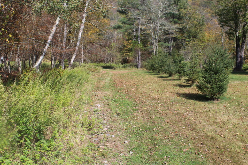 Property photo for land for sale in Delaware County New York