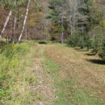 Property photo for land for sale in Delaware County New York