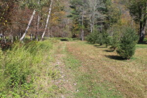 Property photo for land for sale in Delaware County New York