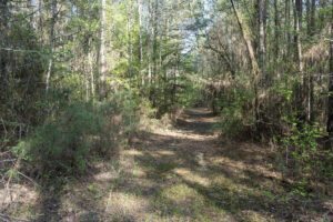 Property photo for land for sale in Jackson County Louisiana