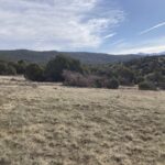 Property photo for land for sale in Rio Arriba County New Mexico
