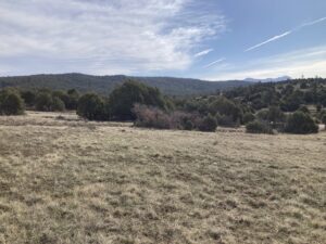 Property photo for land for sale in Rio Arriba County New Mexico