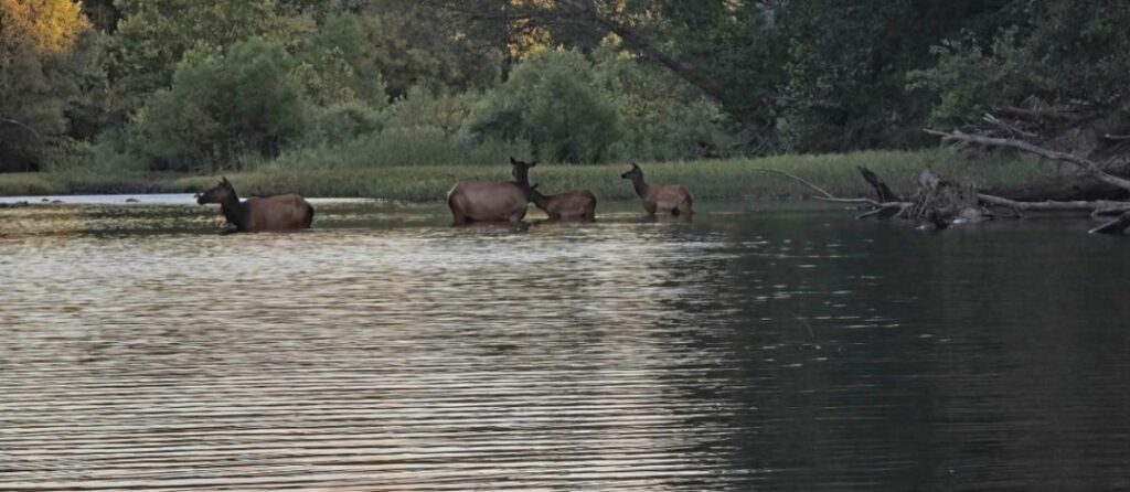 Property photo for land for sale in Pushmataha County Oklahoma