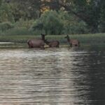 Property photo for land for sale in Pushmataha County Oklahoma