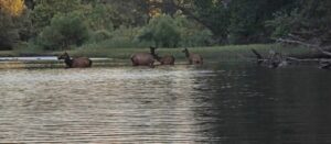 Property photo for land for sale in Pushmataha County Oklahoma