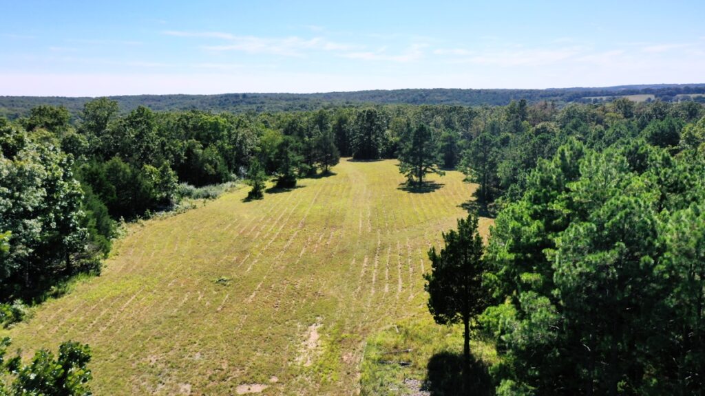 Property photo for land for sale in Dent County Missouri