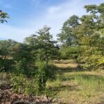 Property photo for land for sale in Marion County Arkansas