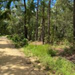 Property photo for land for sale in Emanuel County Georgia