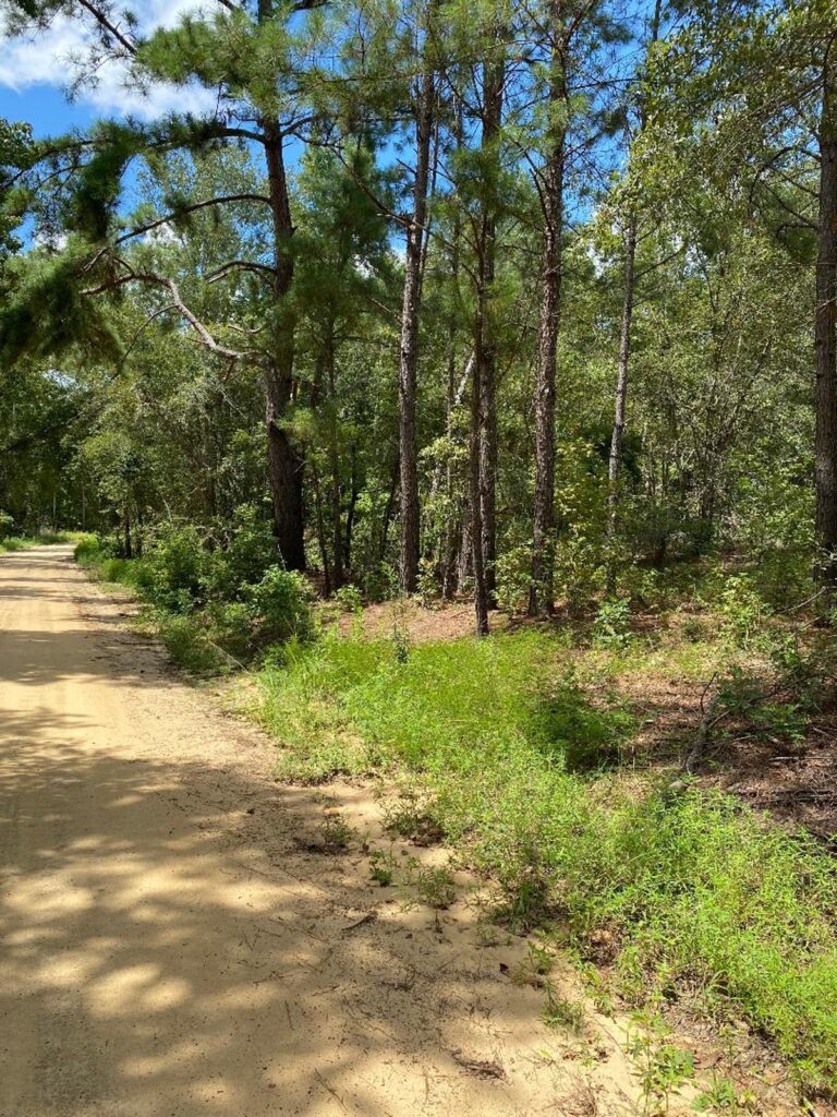 Property photo for land for sale in Emanuel County Georgia
