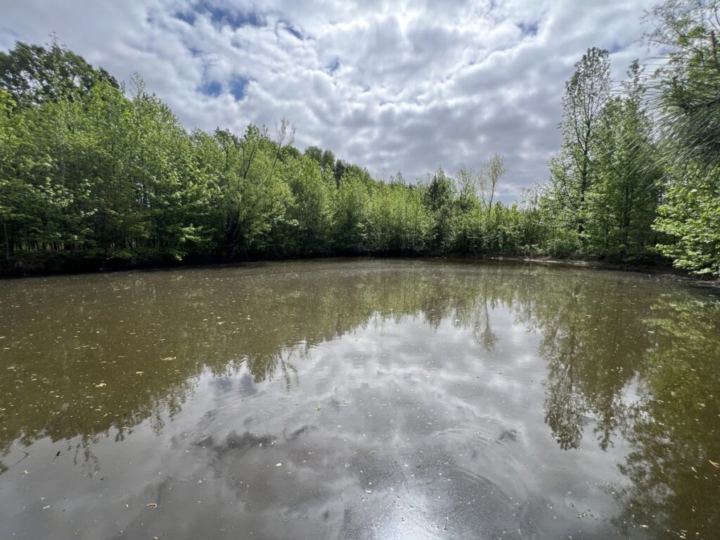 Property photo for land for sale in White County Arkansas