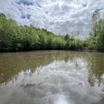 Property photo for land for sale in White County Arkansas