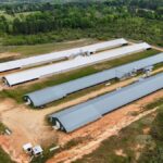 Property photo for land for sale in Covington County Mississippi