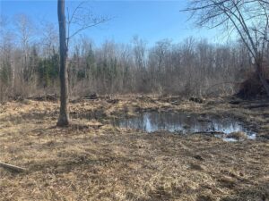 Property photo for land for sale in Pine County Minnesota