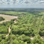 Property photo for land for sale in Geneva County Alabama