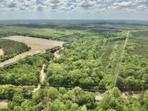 Property photo for land for sale in Geneva County Alabama