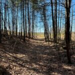 Property photo for land for sale in Sequatchie County Tennessee