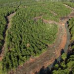 Property photo for land for sale in Pushmataha County Oklahoma