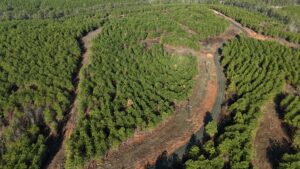 Property photo for land for sale in Pushmataha County Oklahoma