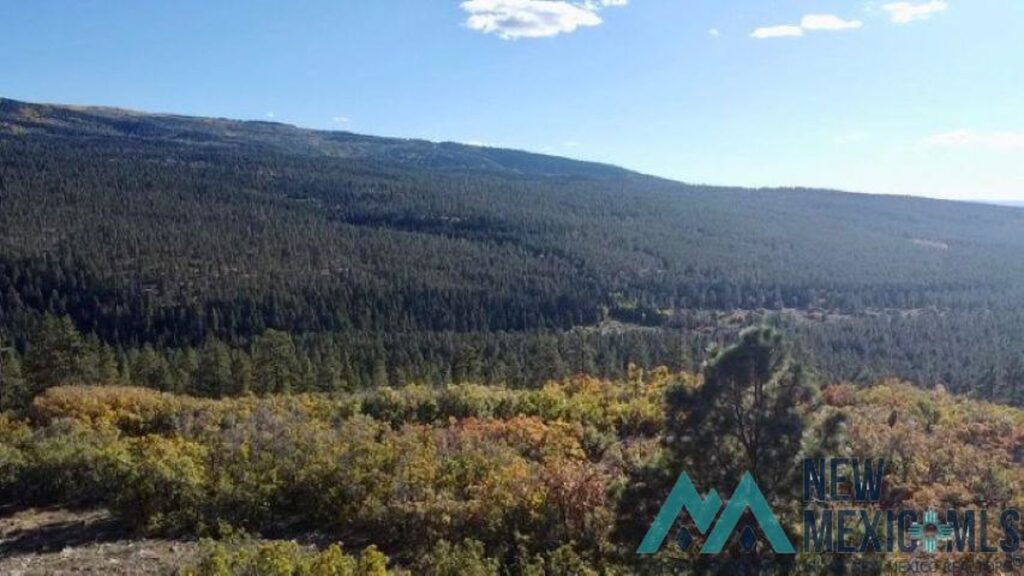 Property photo for land for sale in Rio Arriba County New Mexico
