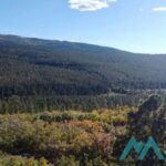 Property photo for land for sale in Rio Arriba County New Mexico