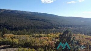 Property photo for land for sale in Rio Arriba County New Mexico