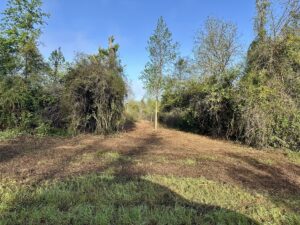 Property photo for land for sale in Geneva County Alabama
