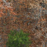 Property photo for land for sale in Jasper County Missouri