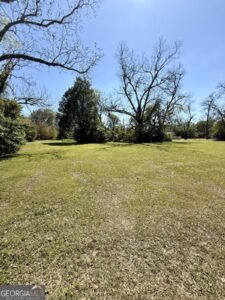 Property photo for land for sale in Mitchell County Georgia
