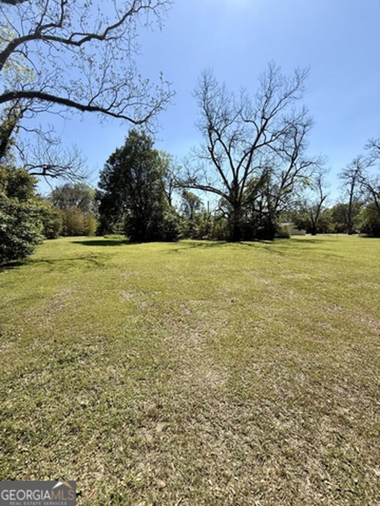 Property photo for land for sale in Mitchell County Georgia