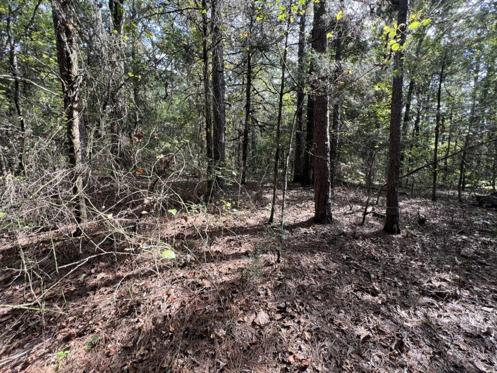 Property photo for land for sale in Van Buren County Arkansas