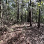 Property photo for land for sale in Van Buren County Arkansas