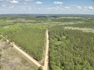 Property photo for land for sale in Geneva County Alabama