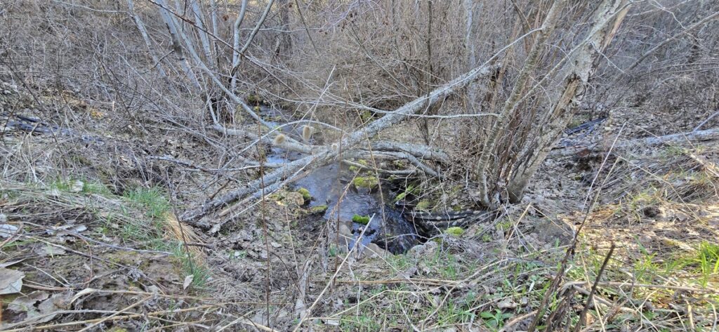 Property photo for land for sale in Stevens County Washington