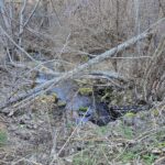 Property photo for land for sale in Stevens County Washington