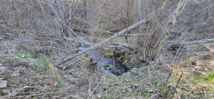 Property photo for land for sale in Stevens County Washington