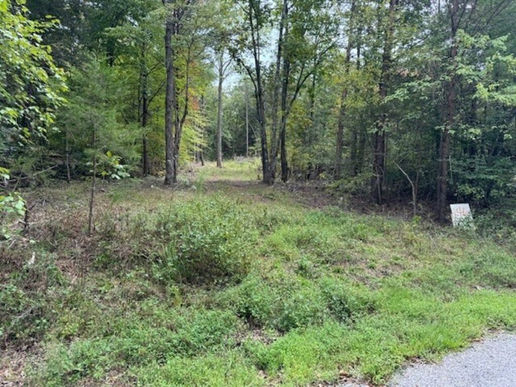 Property photo for land for sale in Lewis County Tennessee