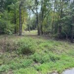 Property photo for land for sale in Lewis County Tennessee