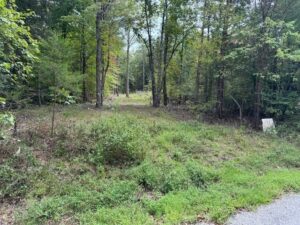 Property photo for land for sale in Lewis County Tennessee
